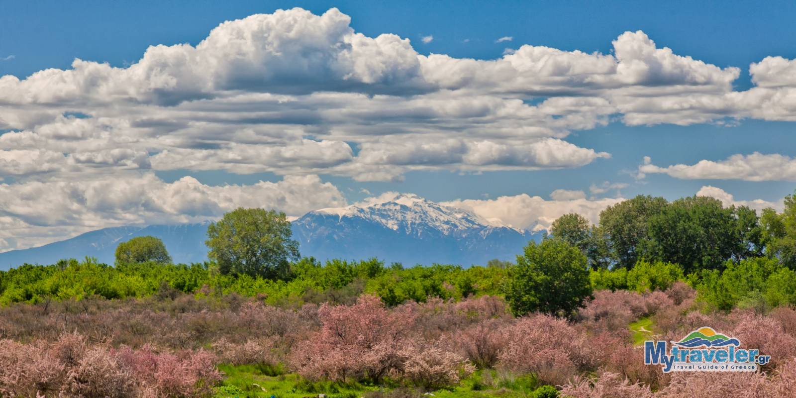 National Park of delta Axios Loudias