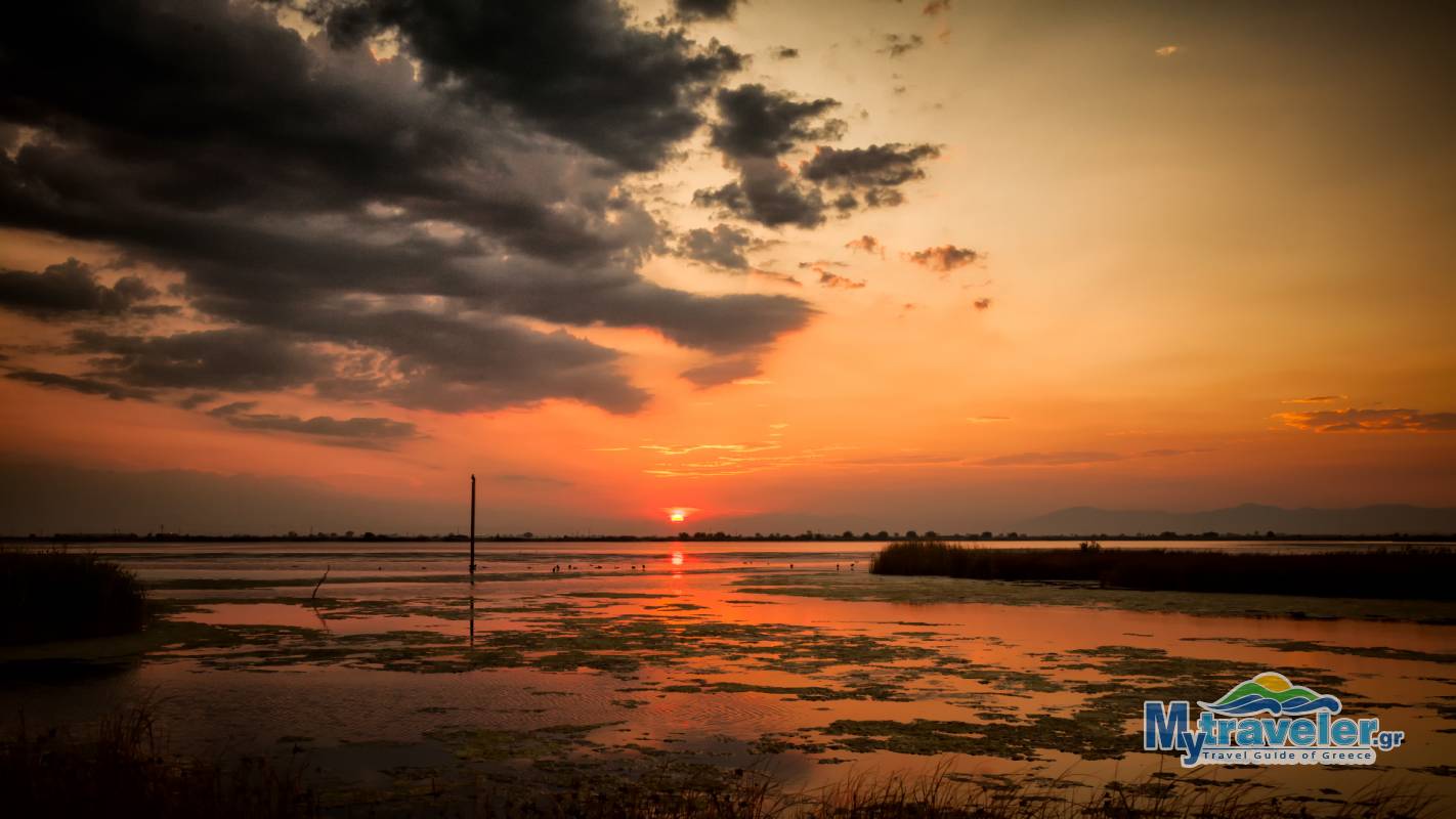 National Park of delta Axios Loudias